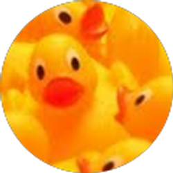 Profile photo of Dawn Seymour