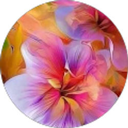 Profile photo of Anna Wallace