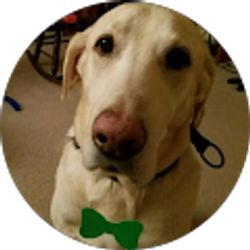 Profile photo of DKAX