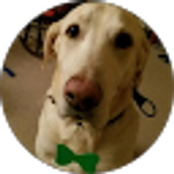 Profile photo of DKAX