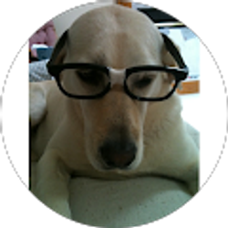 Profile photo of David Kunesh