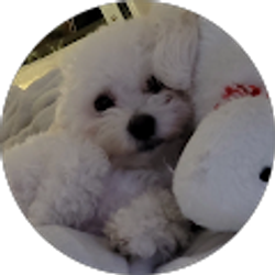 Profile photo of Artesod