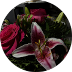 Profile photo of Katie Maldonado