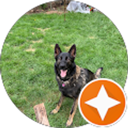 Profile photo of Reina Gifford