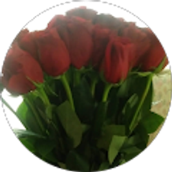 Profile photo of Anisah Muhammad