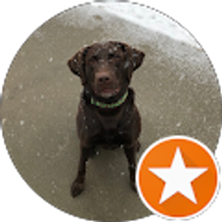 Profile photo of Johnny Kay