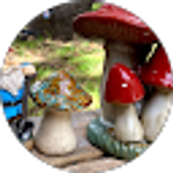 Profile photo of Elizabeth Steward