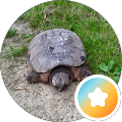Profile photo of Betsy Hunsche