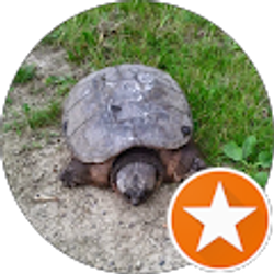 Profile photo of Betsy Hunsche