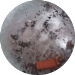 Profile photo of Pamela Taylor