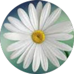 Profile photo of Andrea Viramontes