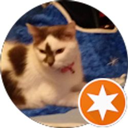 Profile photo of Terri Lanius