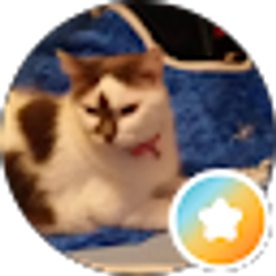 Profile photo of Terri Lanius