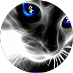 Profile photo of David Belcher