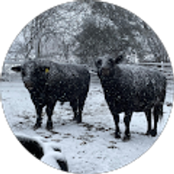 Profile photo of Steve Miller