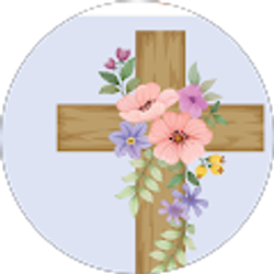 Profile photo of Sandra