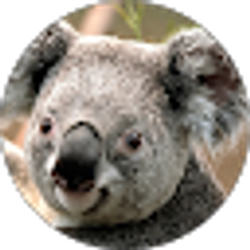 Profile photo of Lourdes