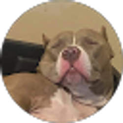 Profile photo of Paige deBoisblanc