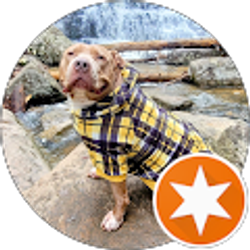 Profile photo of Brandon Painter