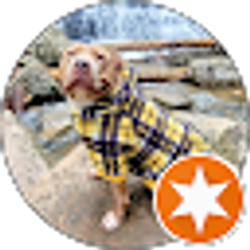 Profile photo of Brandon Painter