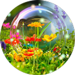 Profile photo of Samuel D Mandello