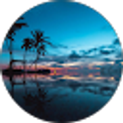 Profile photo of Kaiden Rorrer