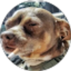 Profile photo of Zoe's Dad