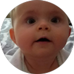 Profile photo of Michele Henes