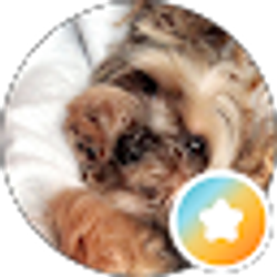 Profile photo of Sydney Martinez