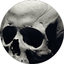 Profile photo of Jason Stevens