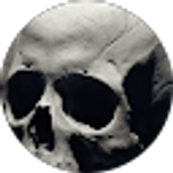 Profile photo of Jason Stevens