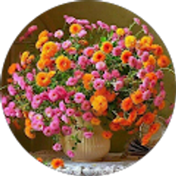 Profile photo of edikam