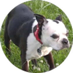 Profile photo of Cindy Smith