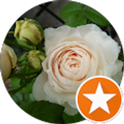 Profile photo of Anna Harrington