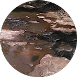 Profile photo of Am Martin