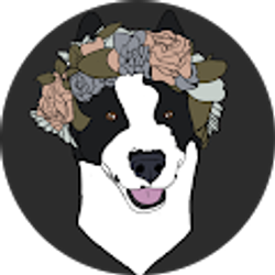 Profile photo of lexi rosee