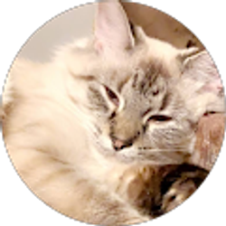 Profile photo of rileigh kendrah