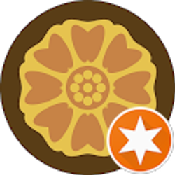 Profile photo of Avni