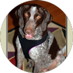 Profile photo of Eric Niederhoffer