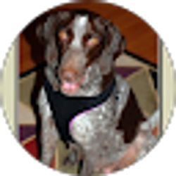 Profile photo of Eric Niederhoffer
