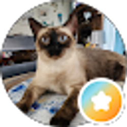 Profile photo of S B