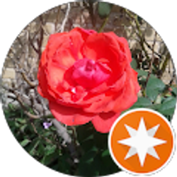 Profile photo of Dallas 1962