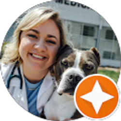 Profile photo of Morgan Denz