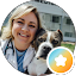 Profile photo of Morgan Denz