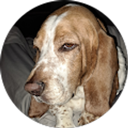 Profile photo of Mike Emrick