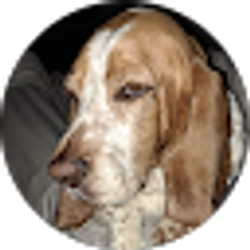 Profile photo of Mike Emrick