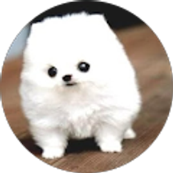 Profile photo of Wendy Villanueva