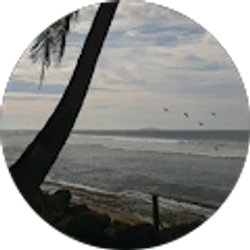 Profile photo of JANICE VALENTIN