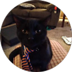 Profile photo of The Dorgan's Ya