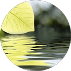 Profile photo of Mei Fang